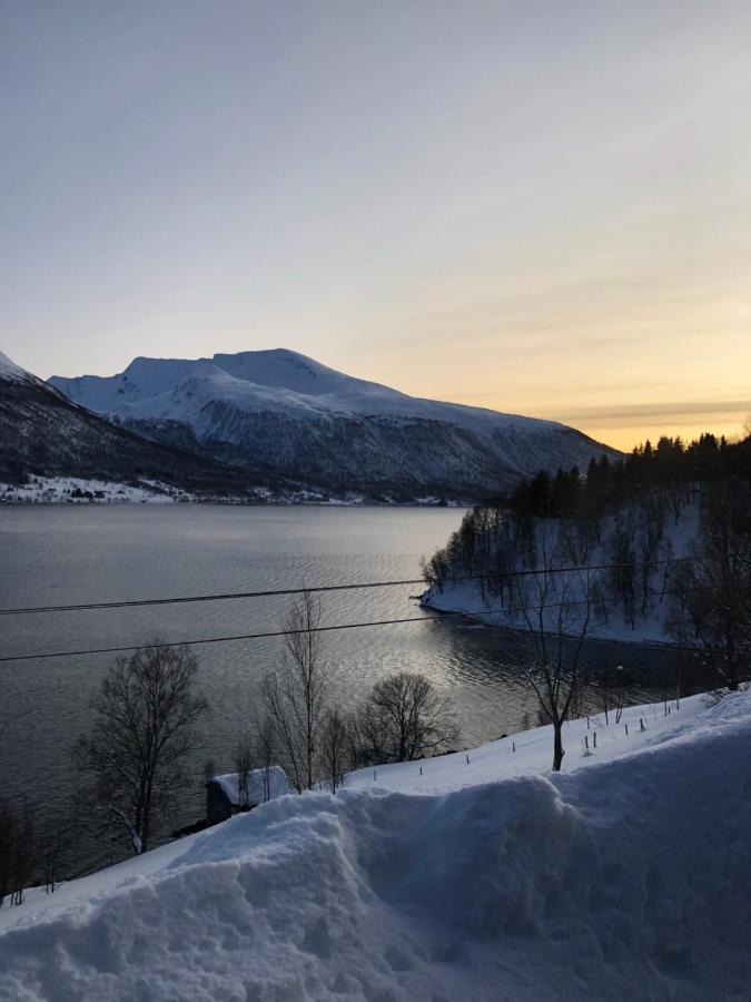 Appartement Hundbergan Apartment-free Parking-15 Min From Tromso *